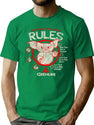 The 3 Simple Rules Worn Dks T-Shirt for Men & Women, T-Shirts Graphic Tee - Green